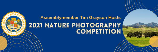 Banner image announcing 2021 Nature Photography Competition