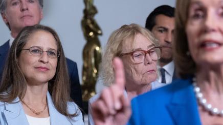 Photos from Redistricting Presser