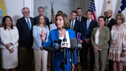 Photos from Redistricting Presser